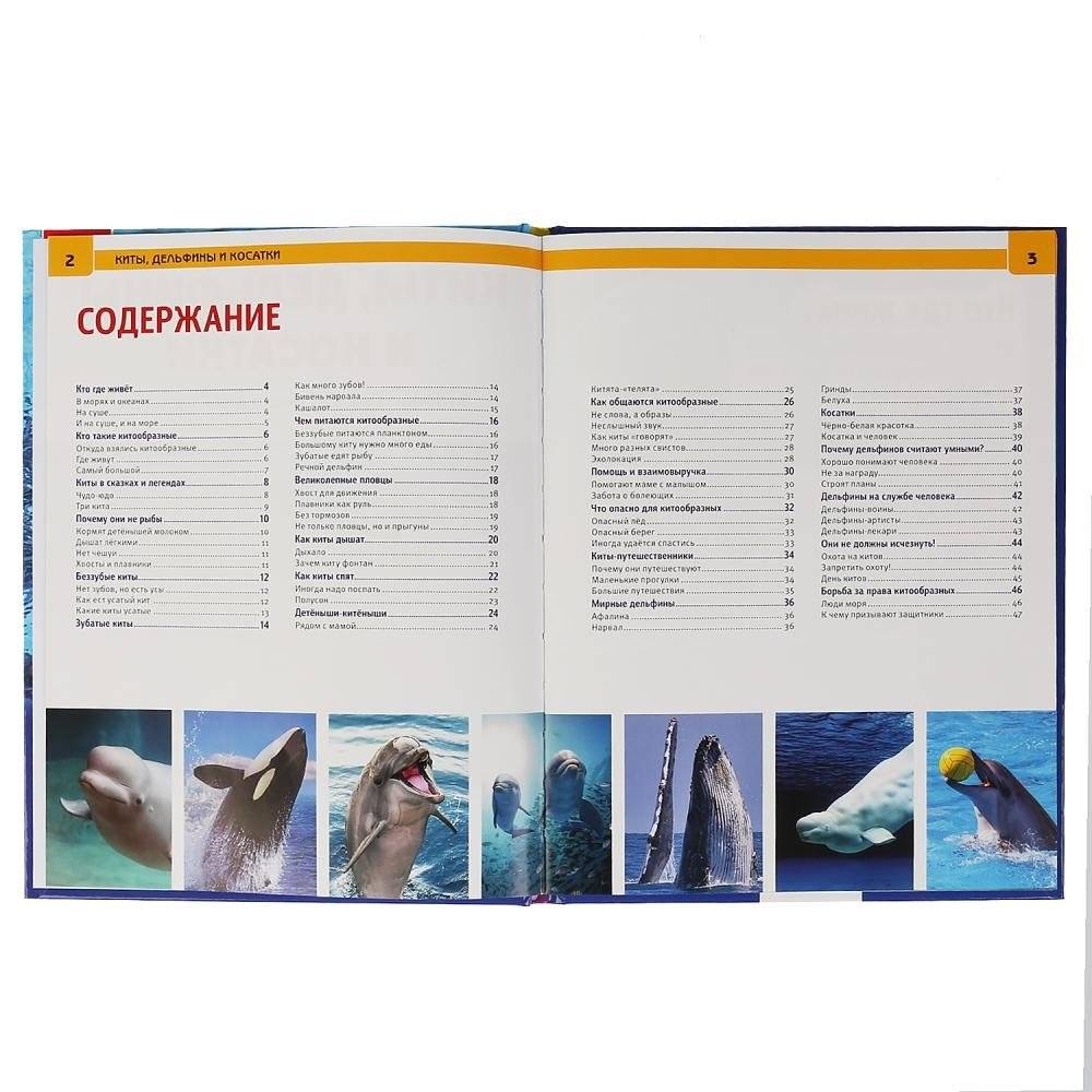 Киты. Дельфины и косатки фото книги 2