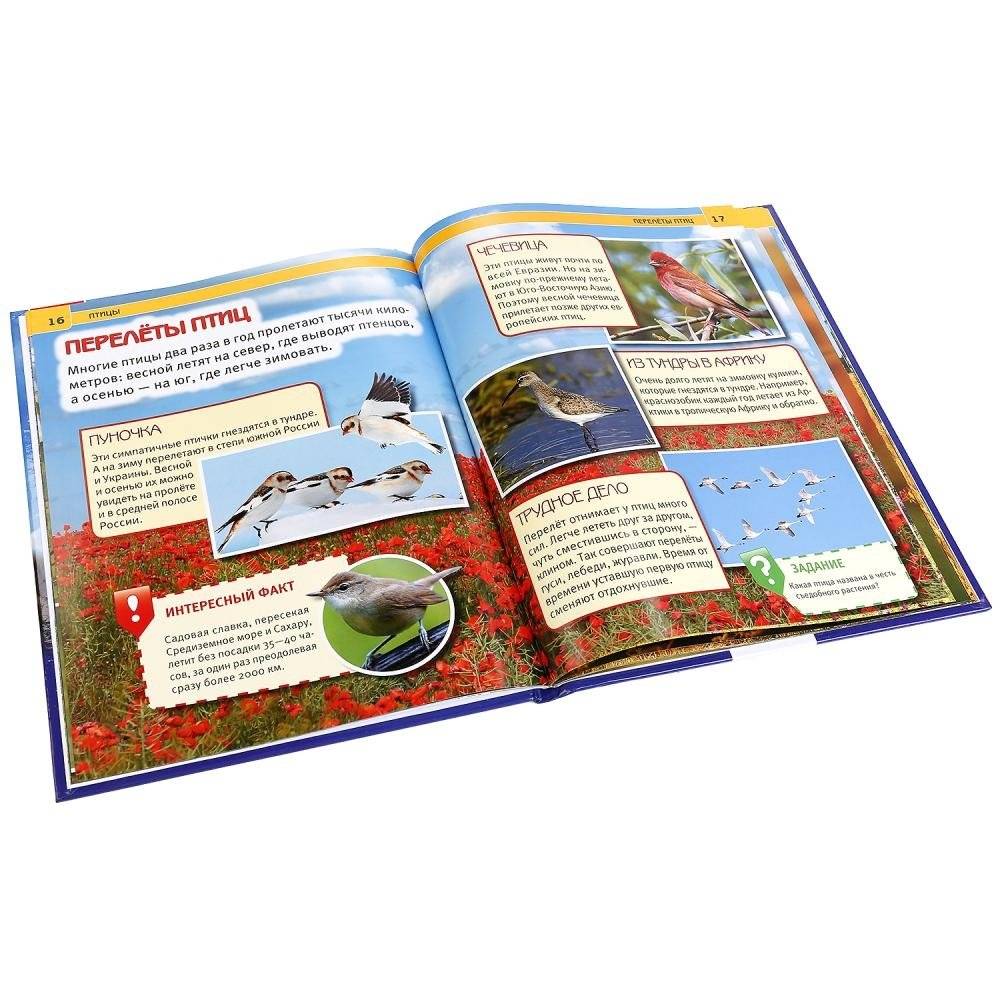 Птицы фото книги 4