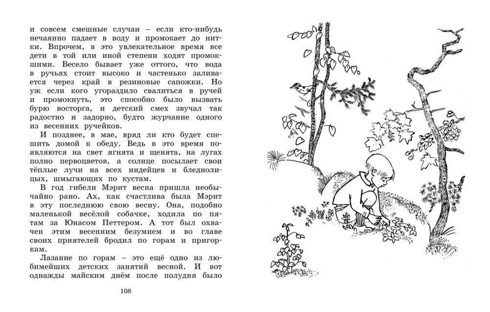 Отважная Кайса и другие дети фото книги 5