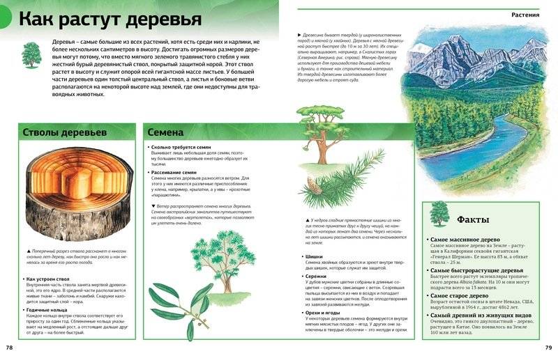 Новая энциклопедия школьника фото книги 4