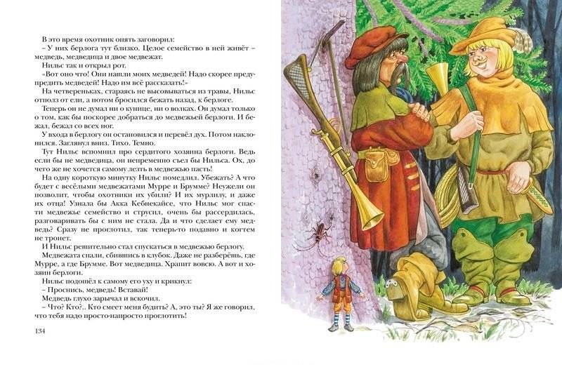 Чудесное путешествие Нильса с дикими гусями фото книги 5