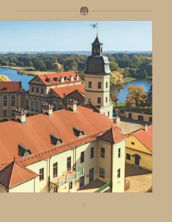 У засені замкаў і палацаў: матэрыяльная культура эліты Беларусі XII - пачатку XX стагоддзя фото книги 8