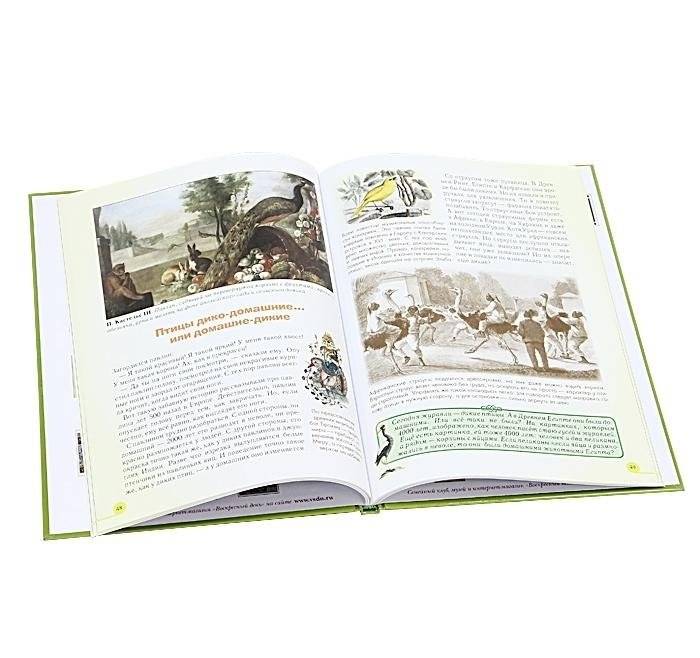 Домашние животные фото книги 2