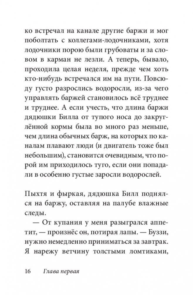 Билл Барсук и пираты. Книга 3 фото книги 14