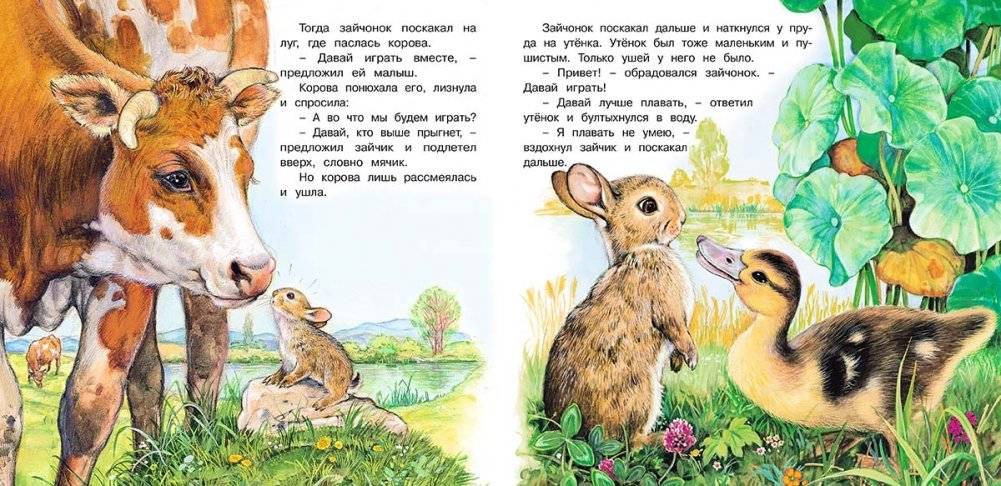Приключения зайчонка фото книги 3