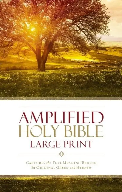 Amplified Holy Bible, Large Print: Captures the Full Meaning Behind the Original Greek and Hebrew фото книги