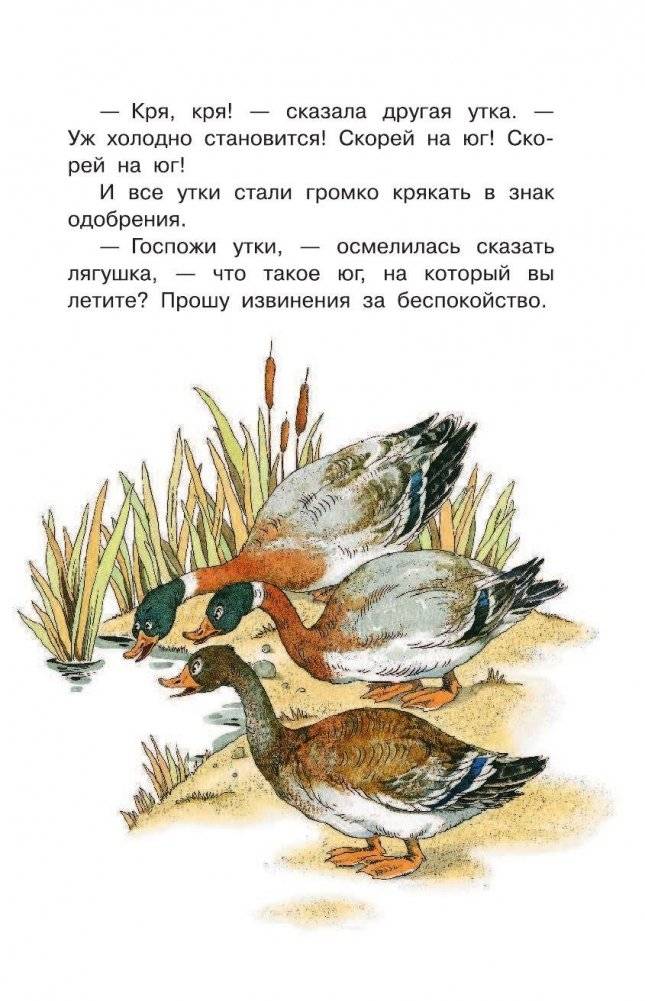 Лягушка-путешественница и другие сказки о животных фото книги 8