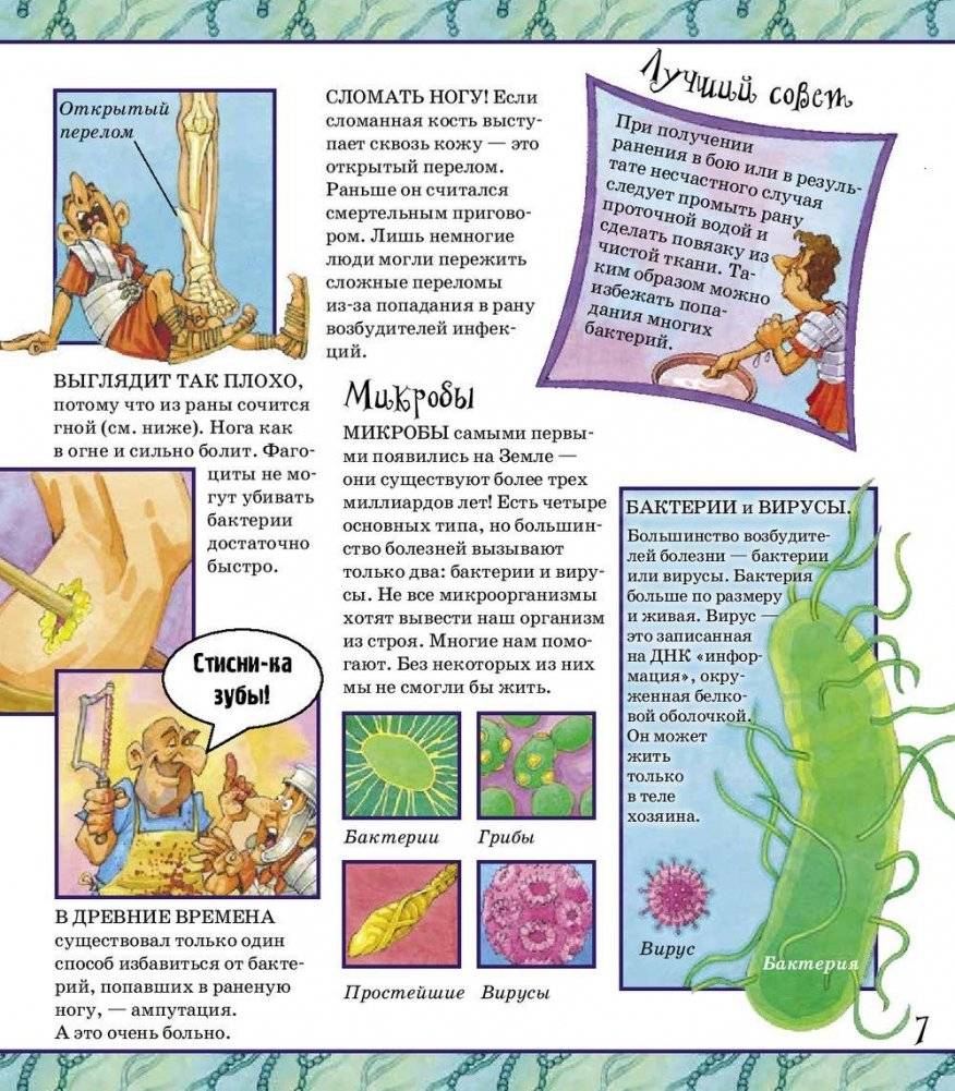 Зачем нам нужны антибиотики? фото книги 4