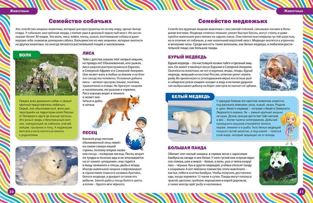 Лучшая книга для маленьких любознашек. Детская энциклопедия фото книги 2