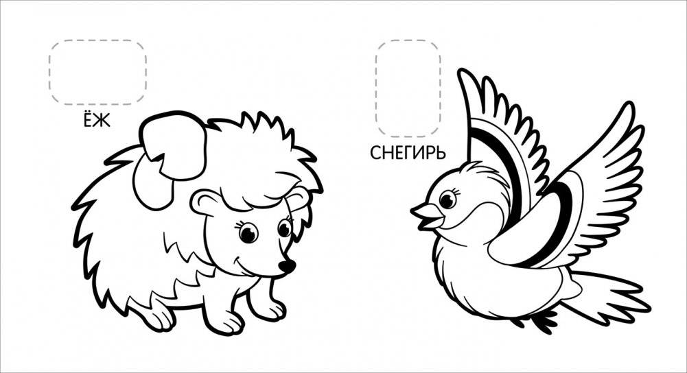 Первая раскраска с наклейками. Животные в лесу фото книги 3