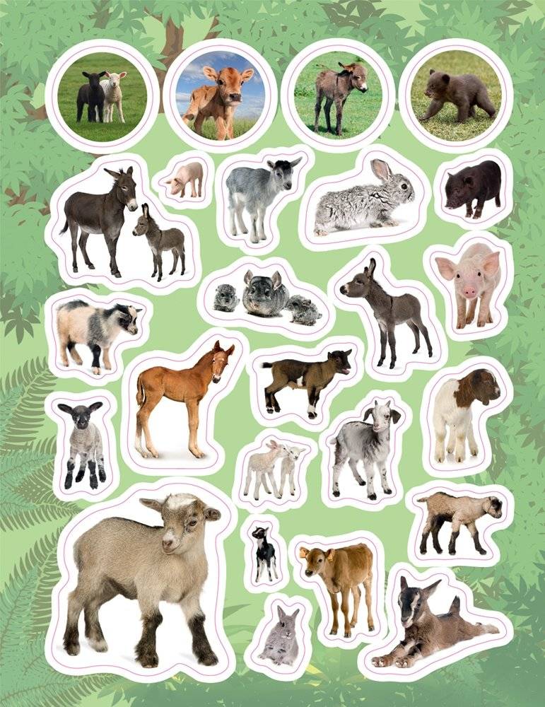 100 наклеек "Зверята" фото книги 2