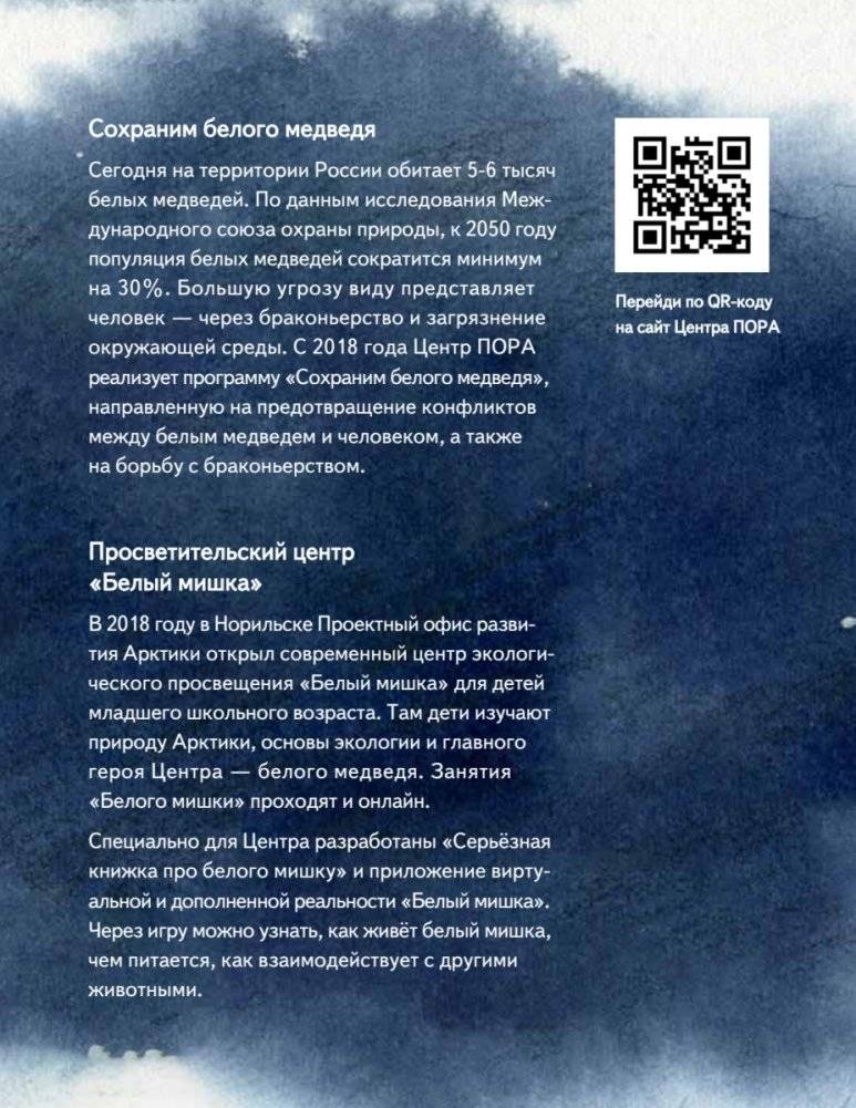 Чудо в Новый год. Как Белый Мишка нашёл друзей фото книги 2