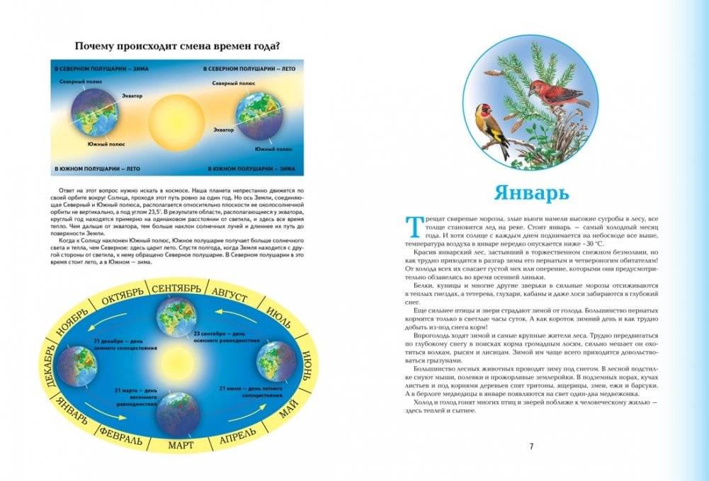 Времена года. Иллюстрированная энциклопедия фото книги 2