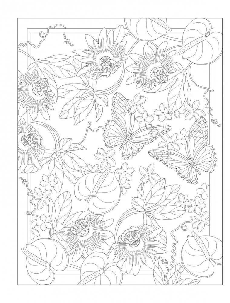 Creative Haven Tropical Wonders Coloring Book фото книги 5