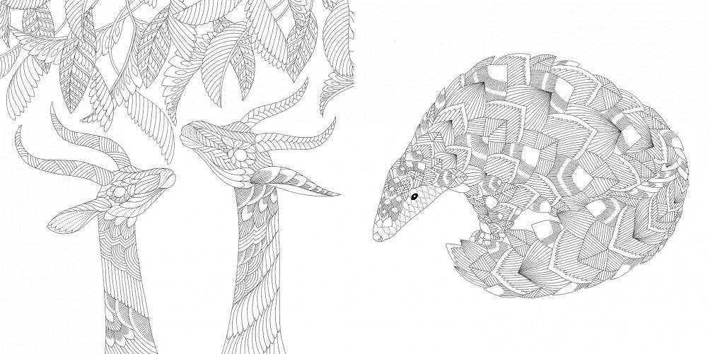 Божественные создания. Золотая коллекция любимых иллюстраций фото книги 6