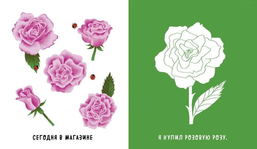 Найди и раскрась. Учим цвета и числа фото книги 2