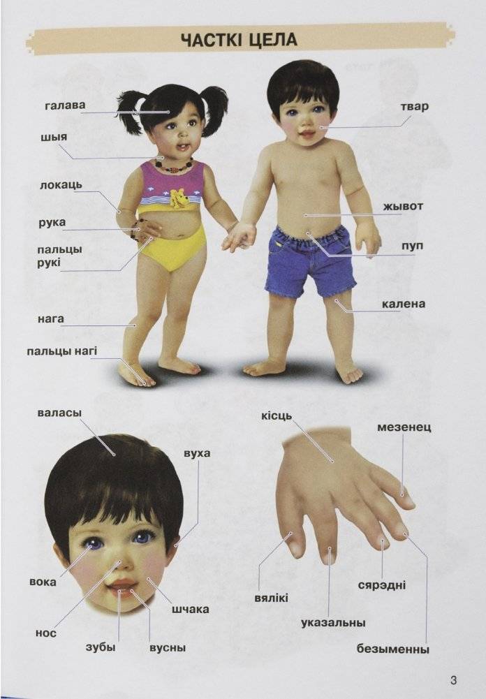 Першая кнiга малыша фото книги 4