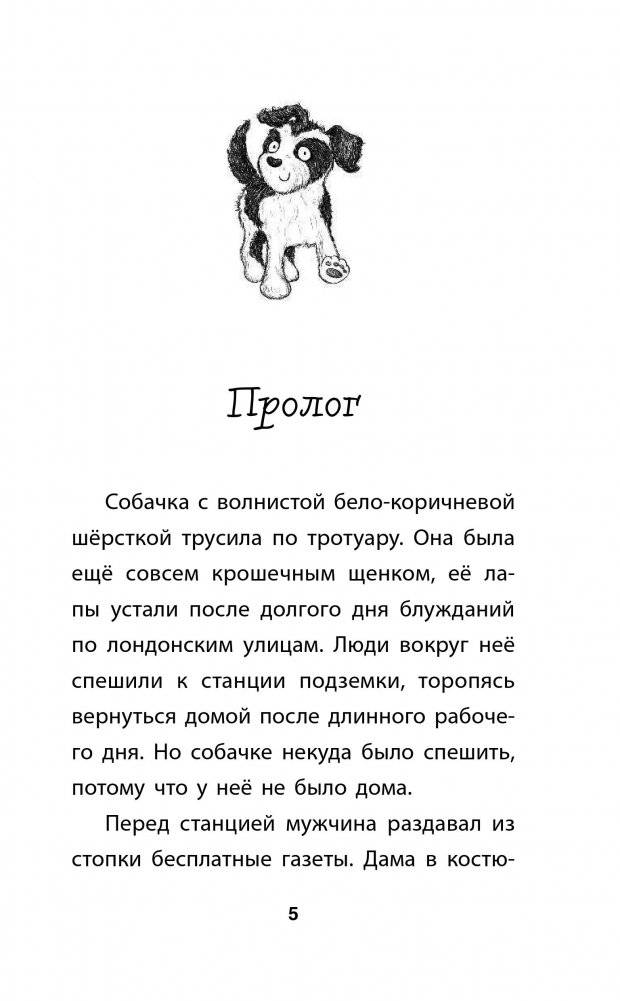 Собачка, которая мечтала о доме фото книги 12