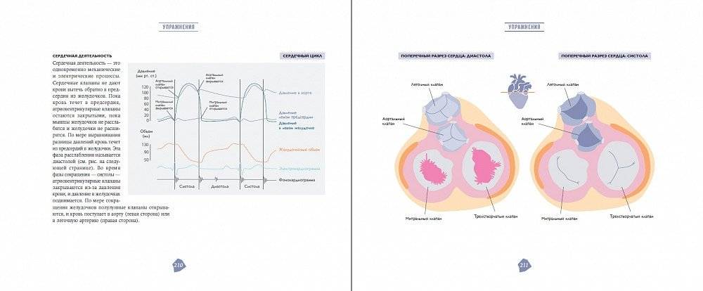 Биохакинг. Руководство по раскрытию потенциала организма фото книги 6