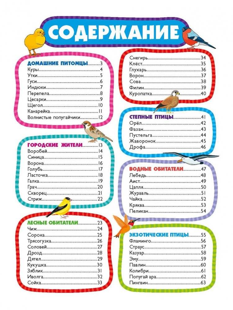 Птицы для самых маленьких. Лучшая энциклопедия для малышей фото книги 10