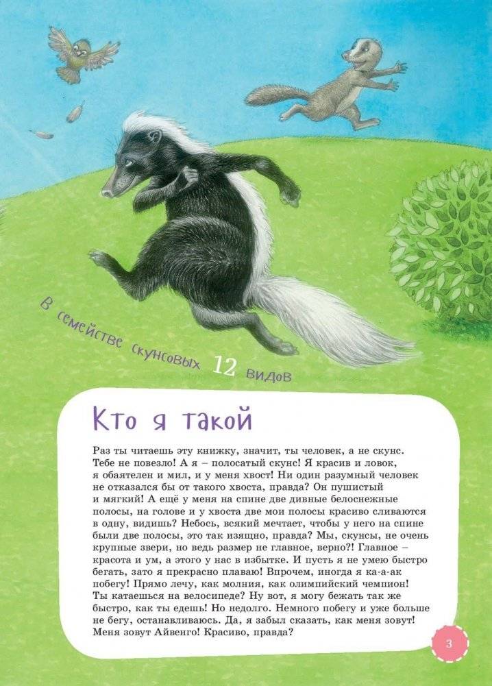 Я скунс фото книги 3