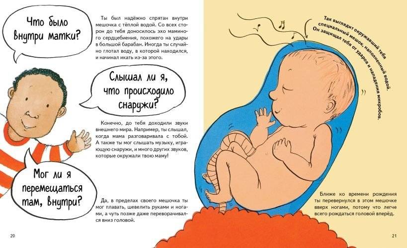 Откуда берутся дети? фото книги 5