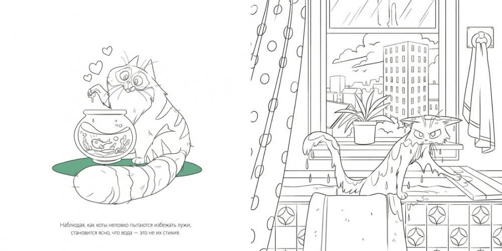 Кошки фото книги 4