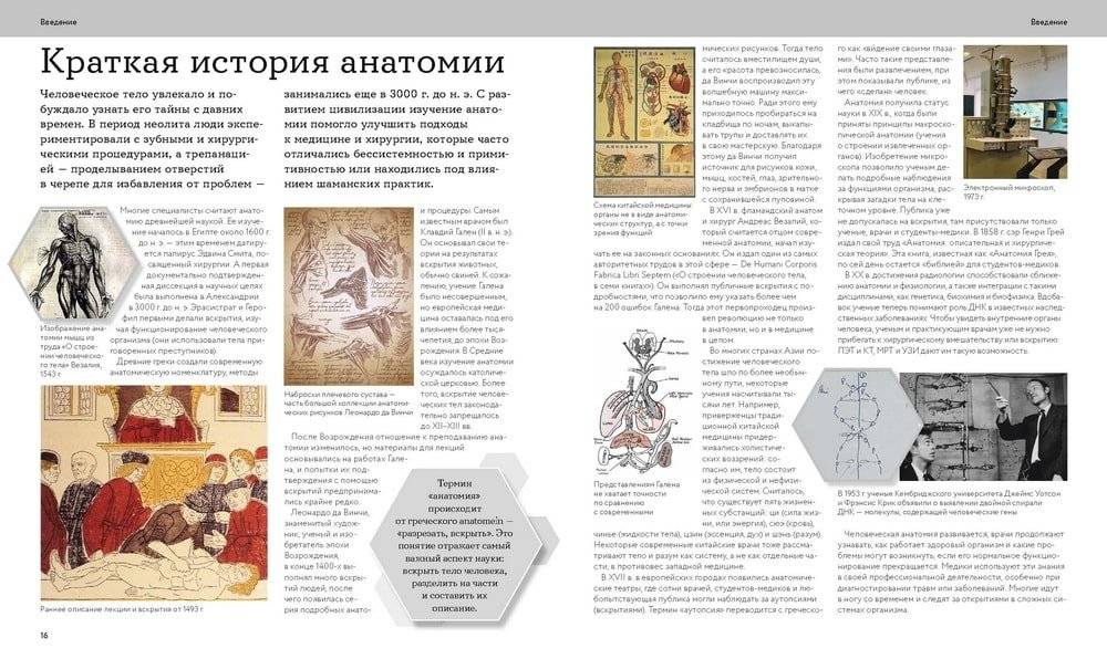 Анатомия человека. Визуальный гид по всем системам организма: норма и патологии фото книги 2