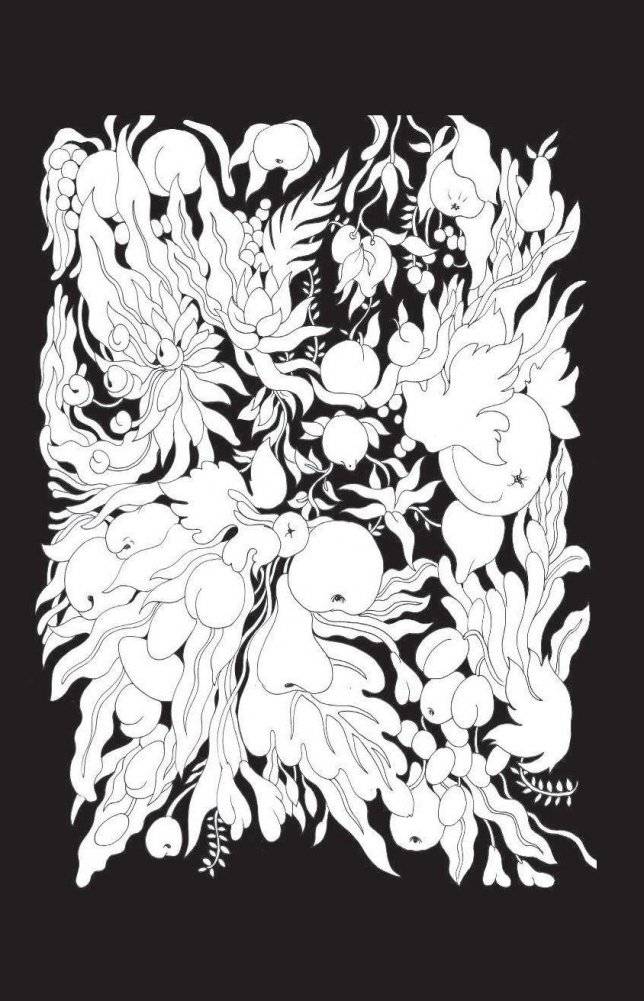 Метаморфозы. Мини-раскраска-антистресс для творчества и вдохновения фото книги 11