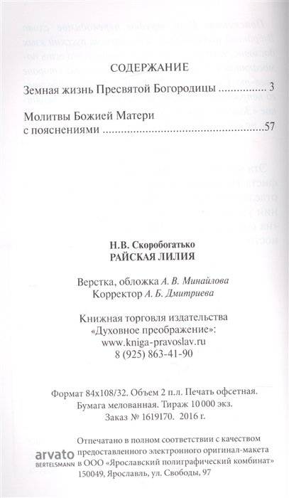 Райская Лилия. Рассказы о пресвятой Богородице для семейного чтения фото книги 2