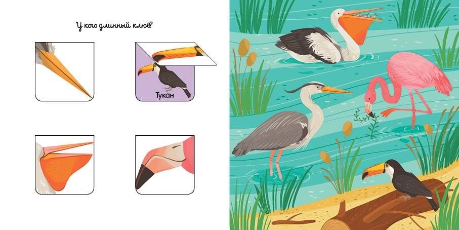 Уши, лапы и хвосты фото книги 6