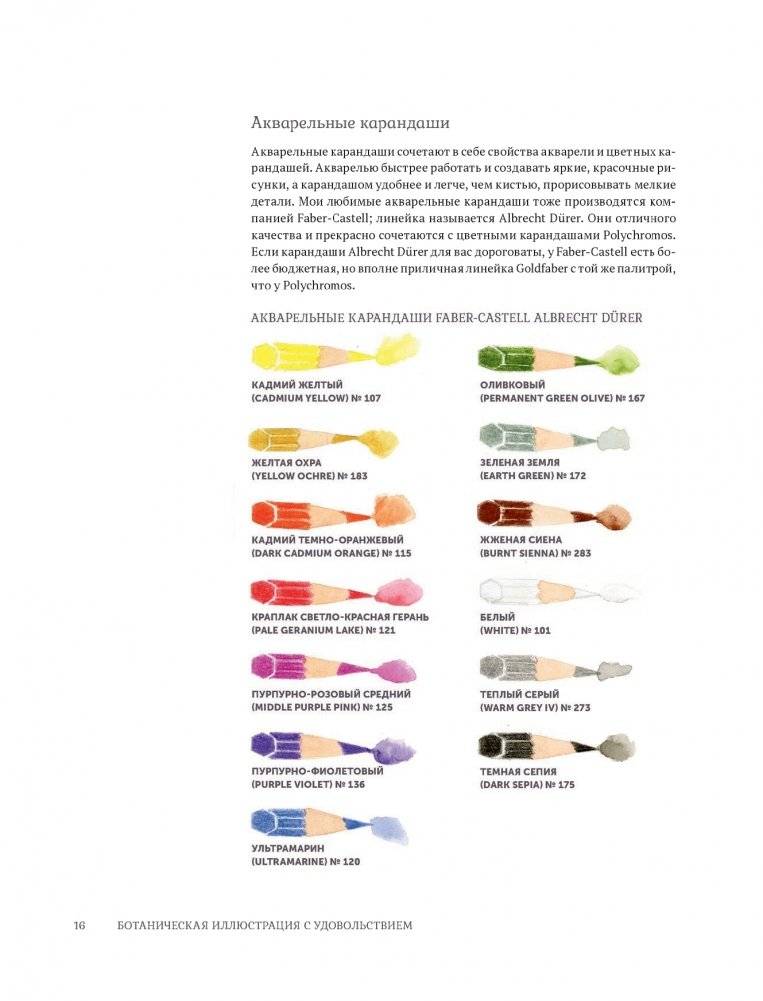 Ботаническая иллюстрация с удовольствием. Пошаговое руководство по изображению цветов, листьев, плодов и других элементов растений фото книги 14