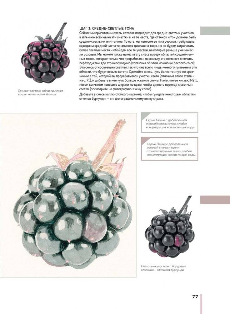 Волшебный мир Анны Мейсон. Рисуем природу. Все секреты реалистичной живописи фото книги 5