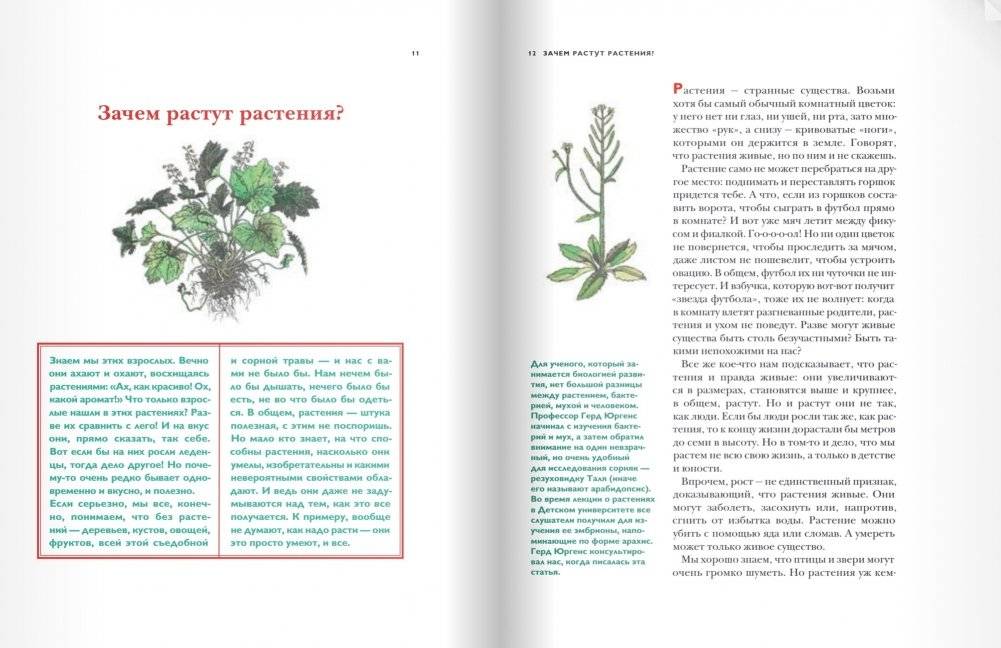 Детский университет. Книга 3. Исследователи объясняют загадки мира фото книги 5