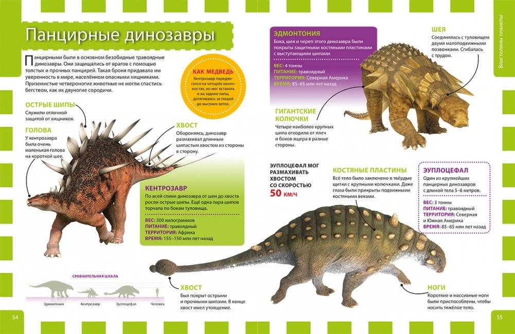 Детская энциклопедия. Почемучкам и любознашкам обо всём на свете фото книги 2