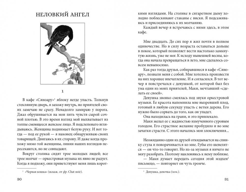 Ветер крепчает фото книги 3