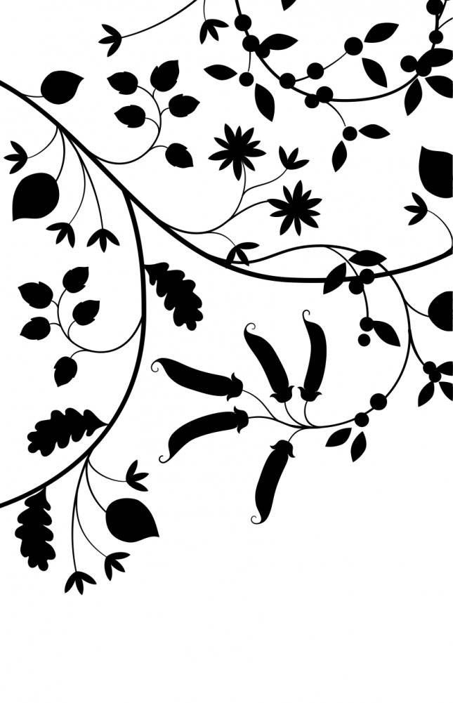 Пепел и пламя фото книги 3