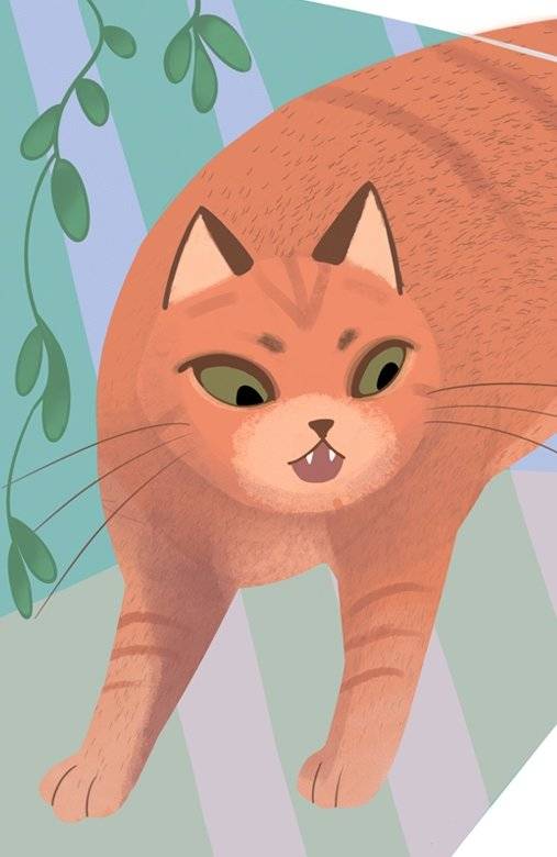 Салливан и Патрикеевна фото книги 5