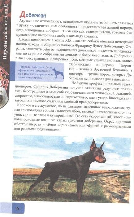 Породы собак от А до Я фото книги 4