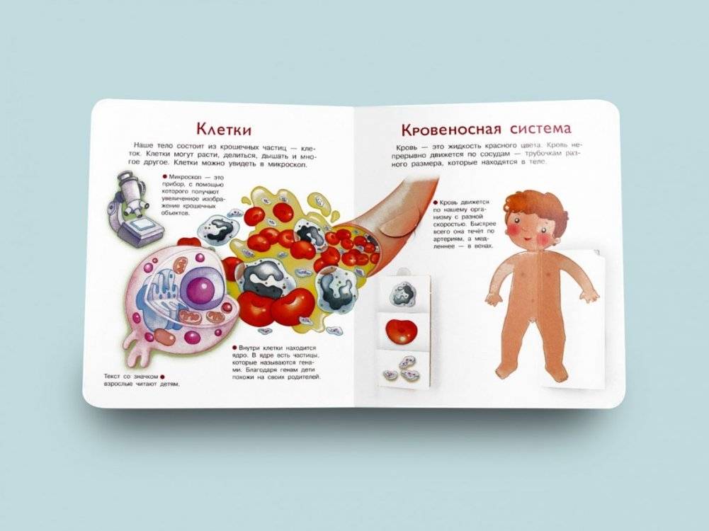 Что? Почему? Зачем? Наше тело фото книги 2