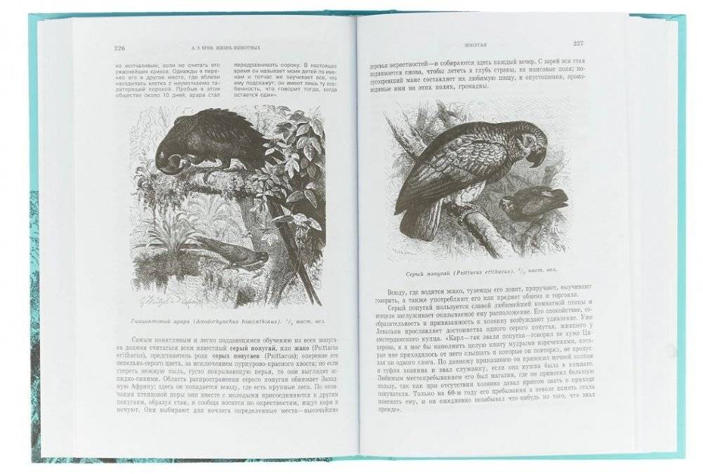 Жизнь животных (количество томов: 3) фото книги 4