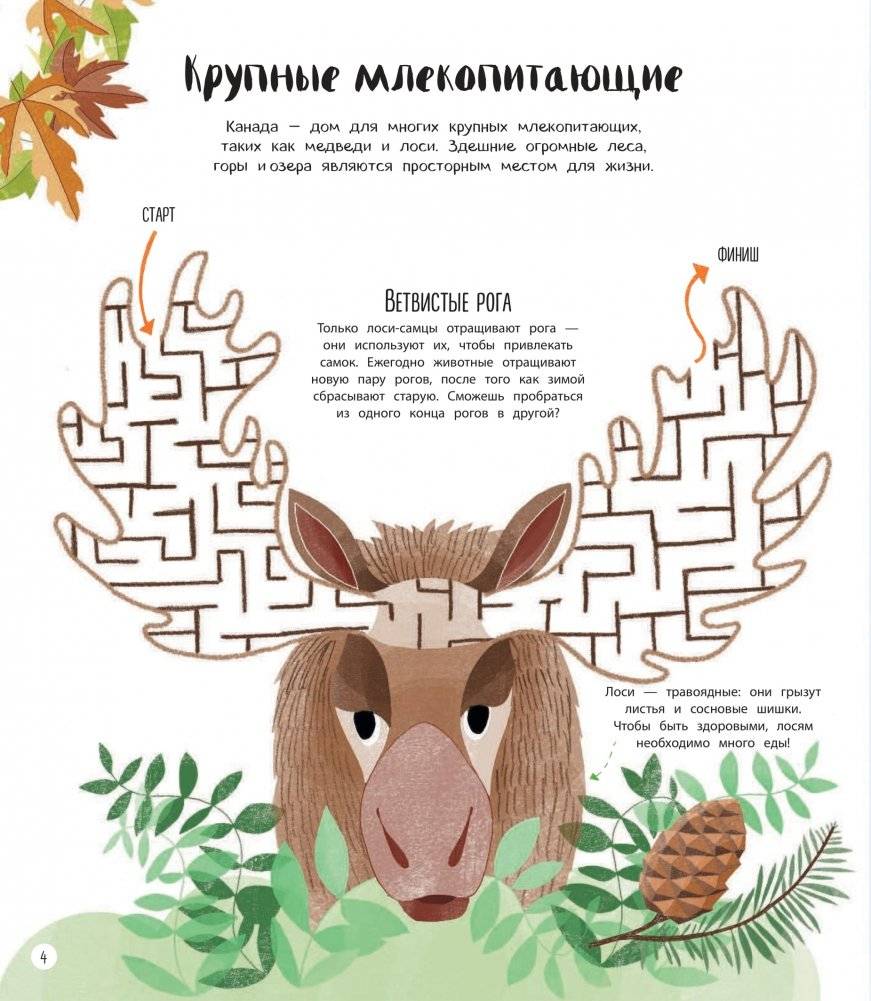 По разным континентам. Игры, факты, лабиринты фото книги 4