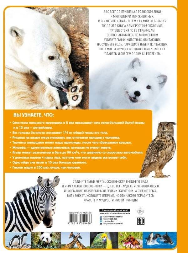 Животные фото книги 2