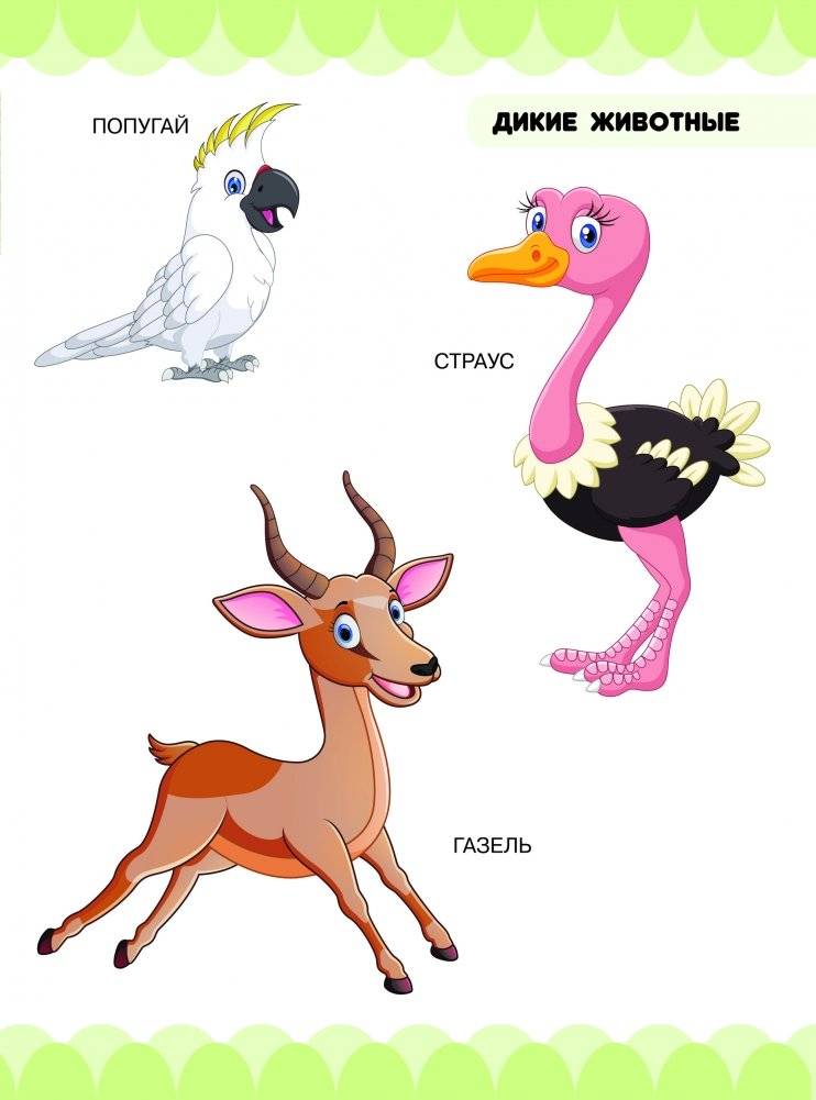 Дикие животные фото книги 3