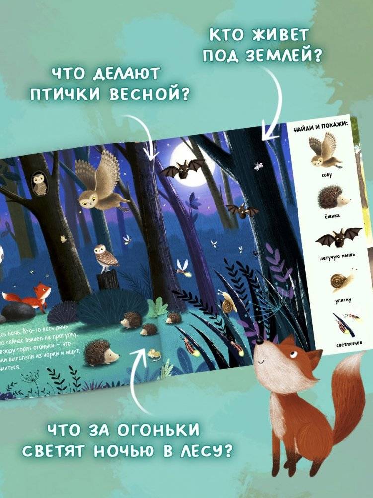 Найди и покажи. Животные в лесу фото книги 5