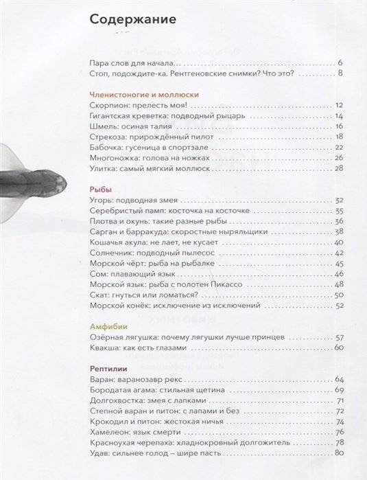 Вижу насквозь. Удивительные рентгеновские снимки животных фото книги 6