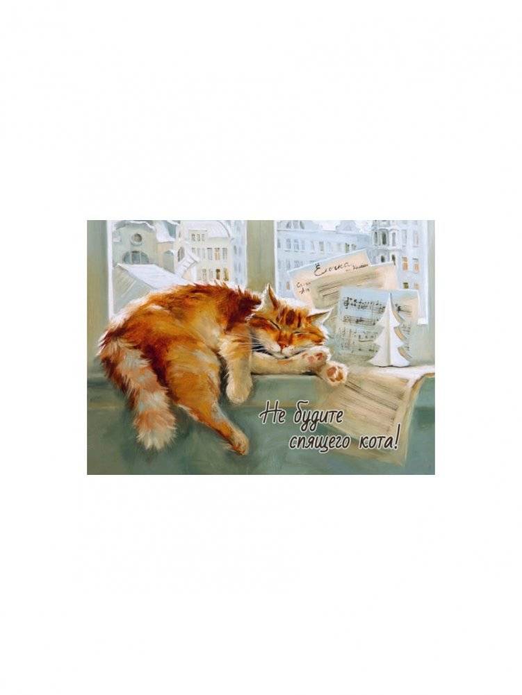 Новогодний подарок "Год без забот" (блокнот, открытка, 2 магнита) (количество томов: 4) фото книги 5