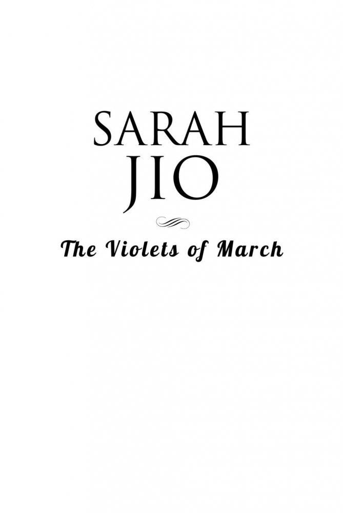 Фиалки в марте фото книги 3