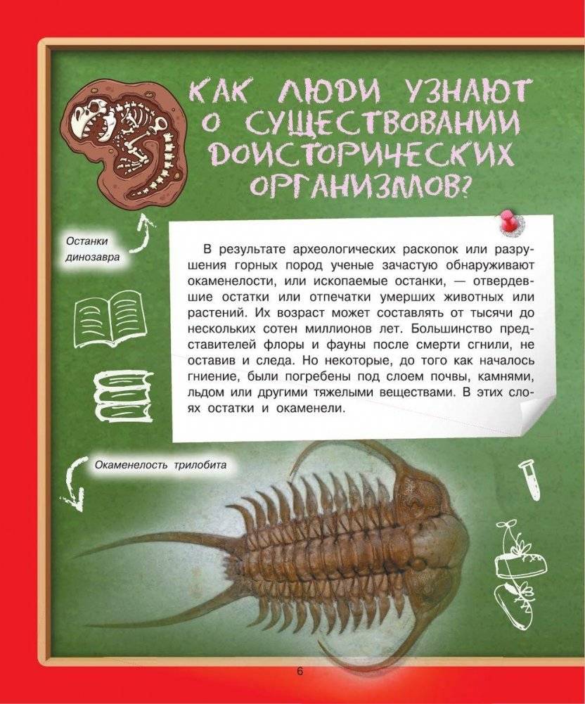 Детская энциклопедия в вопросах и ответах. Где? Когда? Как? фото книги 9