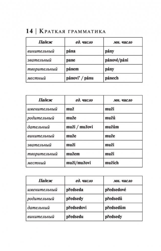 Чешский язык. 4-в-1: грамматика, разговорник, чешско-русский словарь, русско-чешский словарь фото книги 14